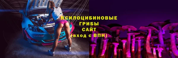 ПСИЛОЦИБИНОВЫЕ ГРИБЫ Козельск