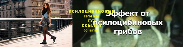 ПСИЛОЦИБИНОВЫЕ ГРИБЫ Козельск