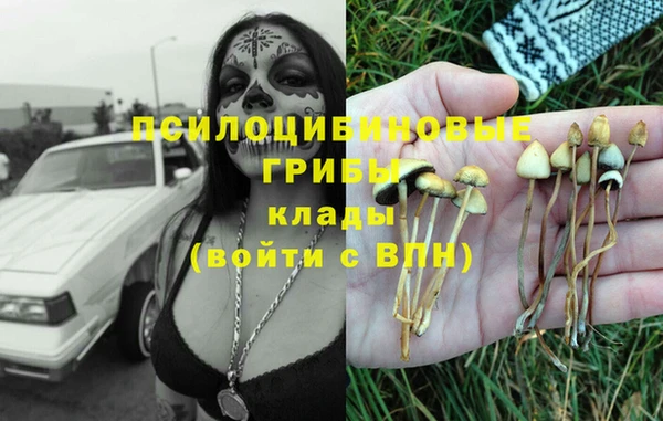 2c-b Козловка