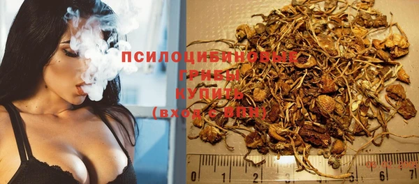 ПСИЛОЦИБИНОВЫЕ ГРИБЫ Козельск