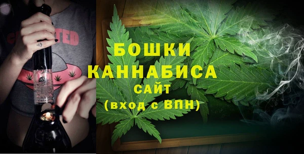 МДПВ Кодинск