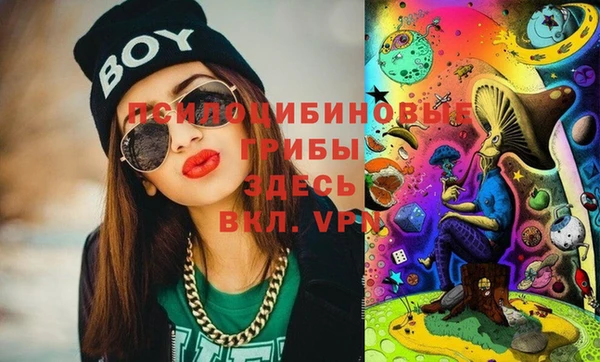 2c-b Козловка