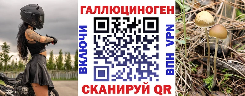 Купить где  Электрогорск  Псилоцибиновые грибы мицелий 